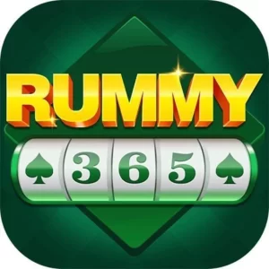 Rummy 365 APK Download