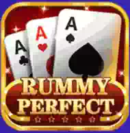 Rummy Perfect APK Download